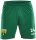 Bayern Hof - Herren Shorts Saison 25/26 grün mit Logo